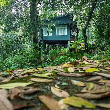 Wayanad Wild - Rainforest Lodge - A Cgh Earth Experience Vythiri Exterior photo