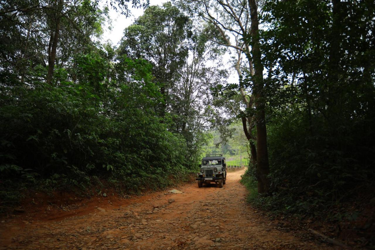 Wayanad Wild - Rainforest Lodge - A Cgh Earth Experience Vythiri Exterior photo