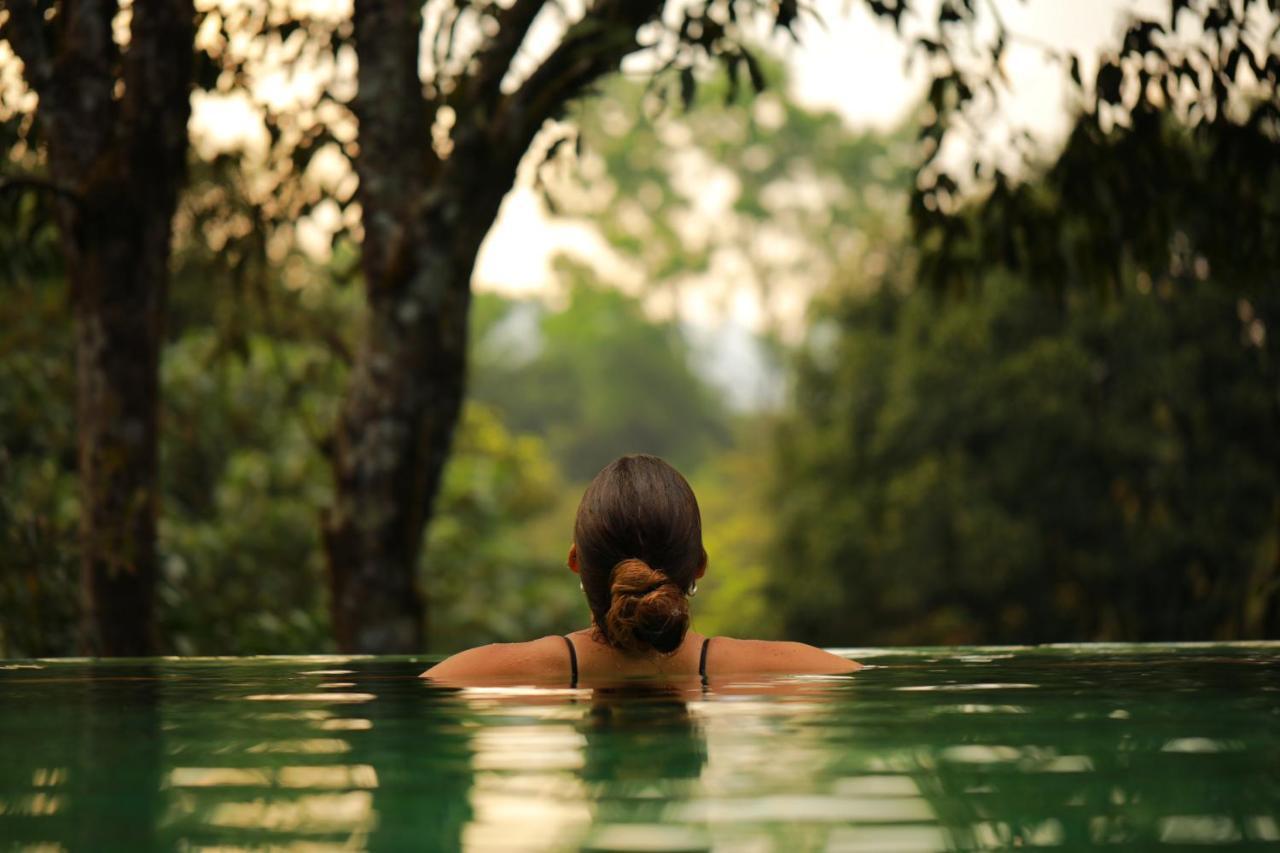 Wayanad Wild - Rainforest Lodge - A Cgh Earth Experience Vythiri Exterior photo