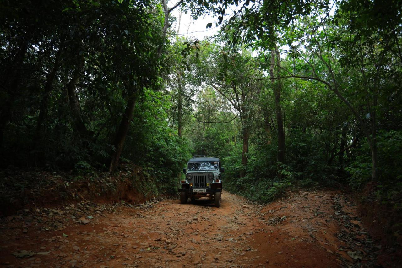 Wayanad Wild - Rainforest Lodge - A Cgh Earth Experience Vythiri Exterior photo