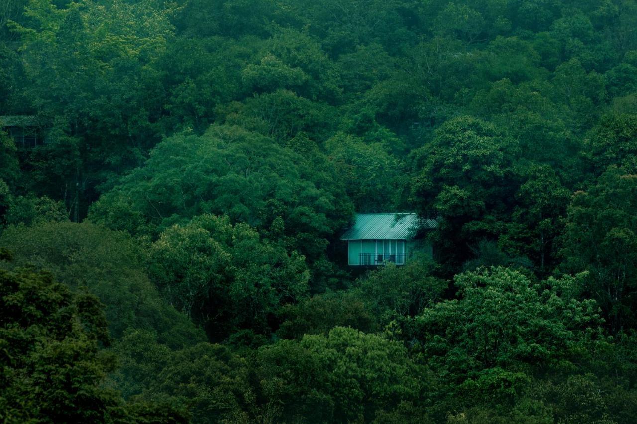 Wayanad Wild - Rainforest Lodge - A Cgh Earth Experience Vythiri Exterior photo