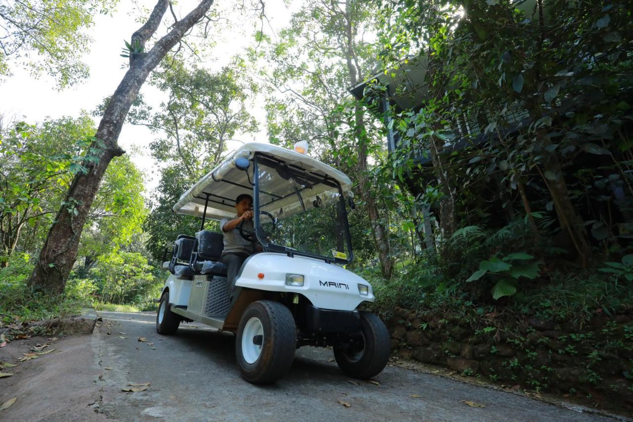 Wayanad Wild - Rainforest Lodge - A Cgh Earth Experience Vythiri Exterior photo