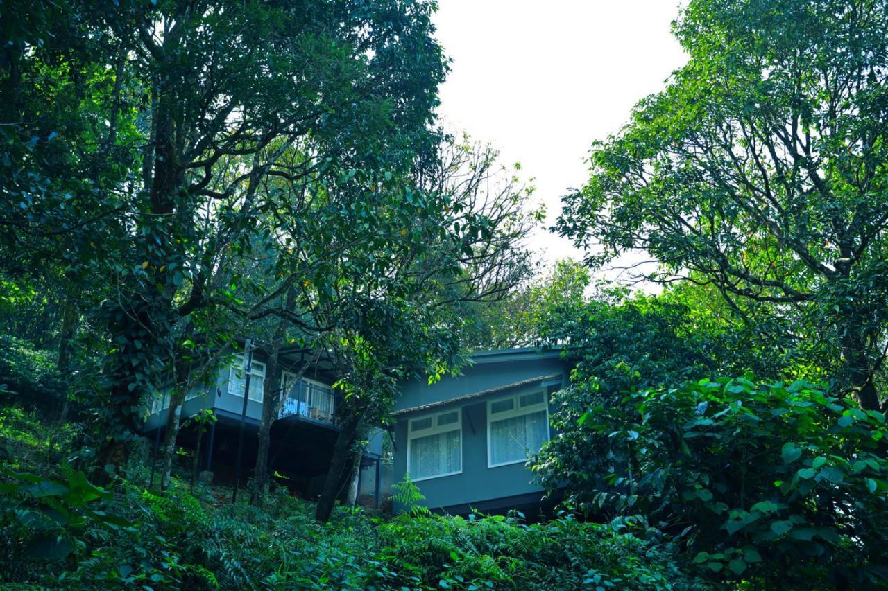 Wayanad Wild - Rainforest Lodge - A Cgh Earth Experience Vythiri Exterior photo