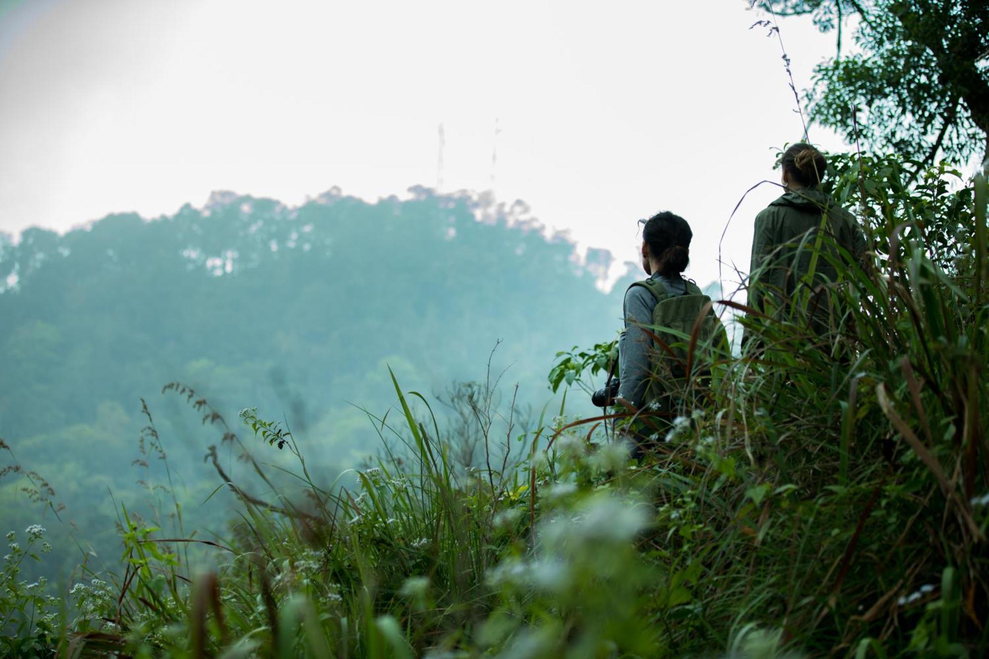 Wayanad Wild - Rainforest Lodge - A Cgh Earth Experience Vythiri Exterior photo