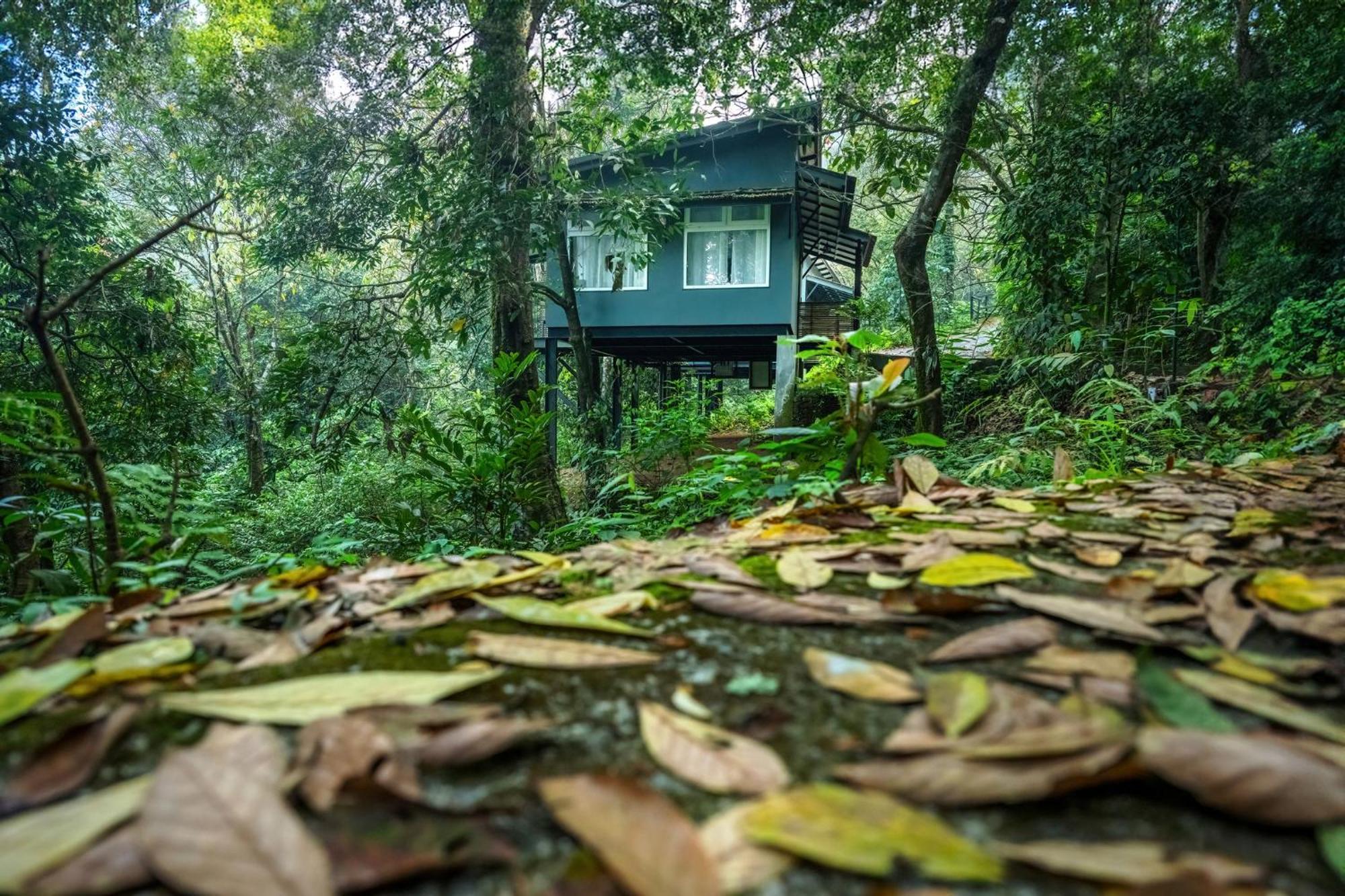 Wayanad Wild - Rainforest Lodge - A Cgh Earth Experience Vythiri Exterior photo