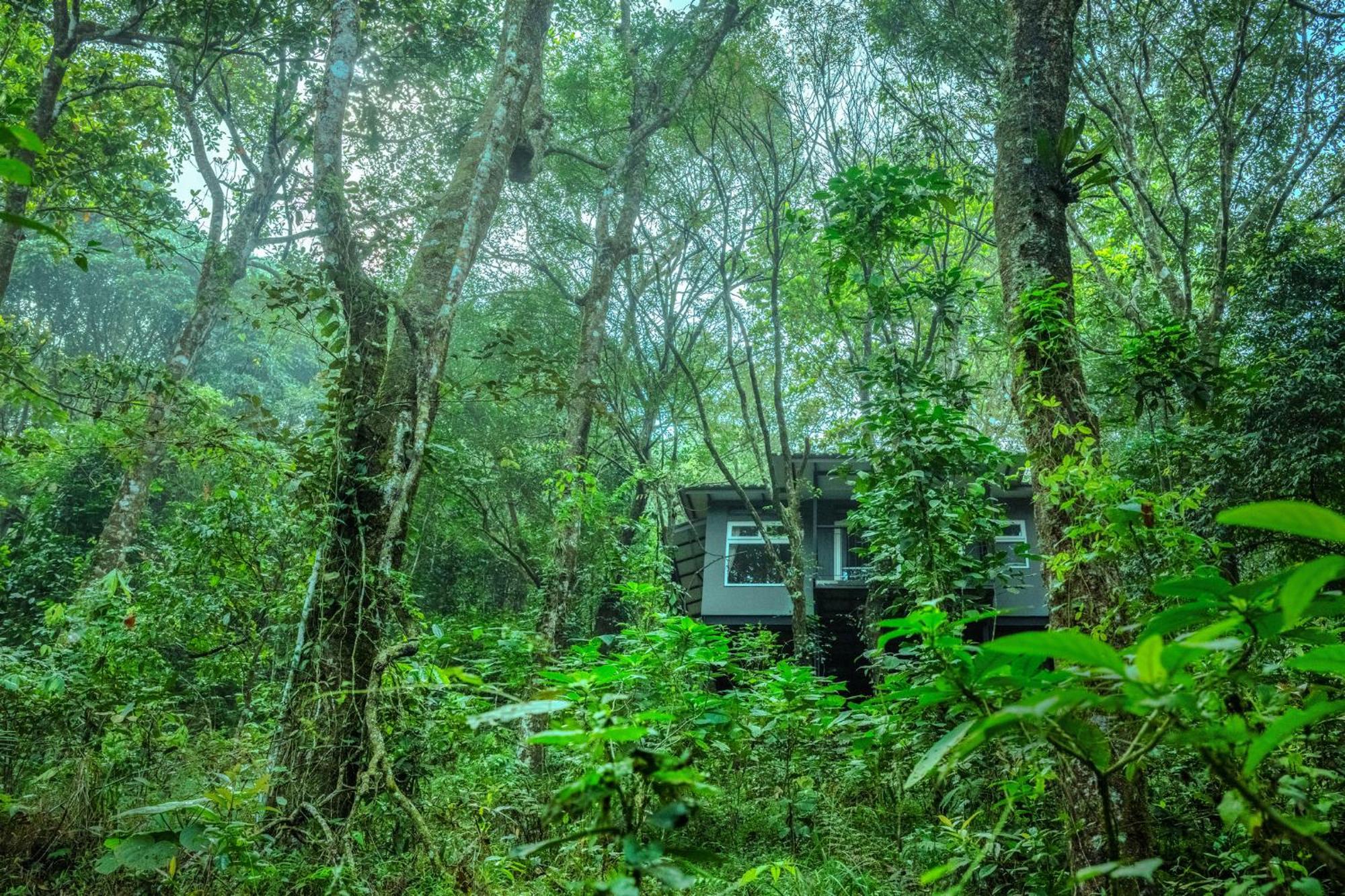 Wayanad Wild - Rainforest Lodge - A Cgh Earth Experience Vythiri Exterior photo