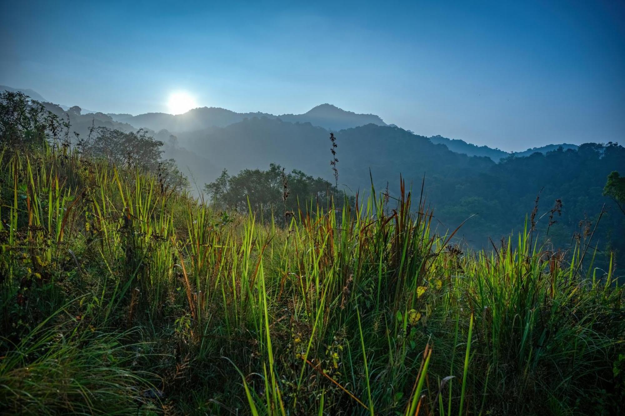 Wayanad Wild - Rainforest Lodge - A Cgh Earth Experience Vythiri Exterior photo