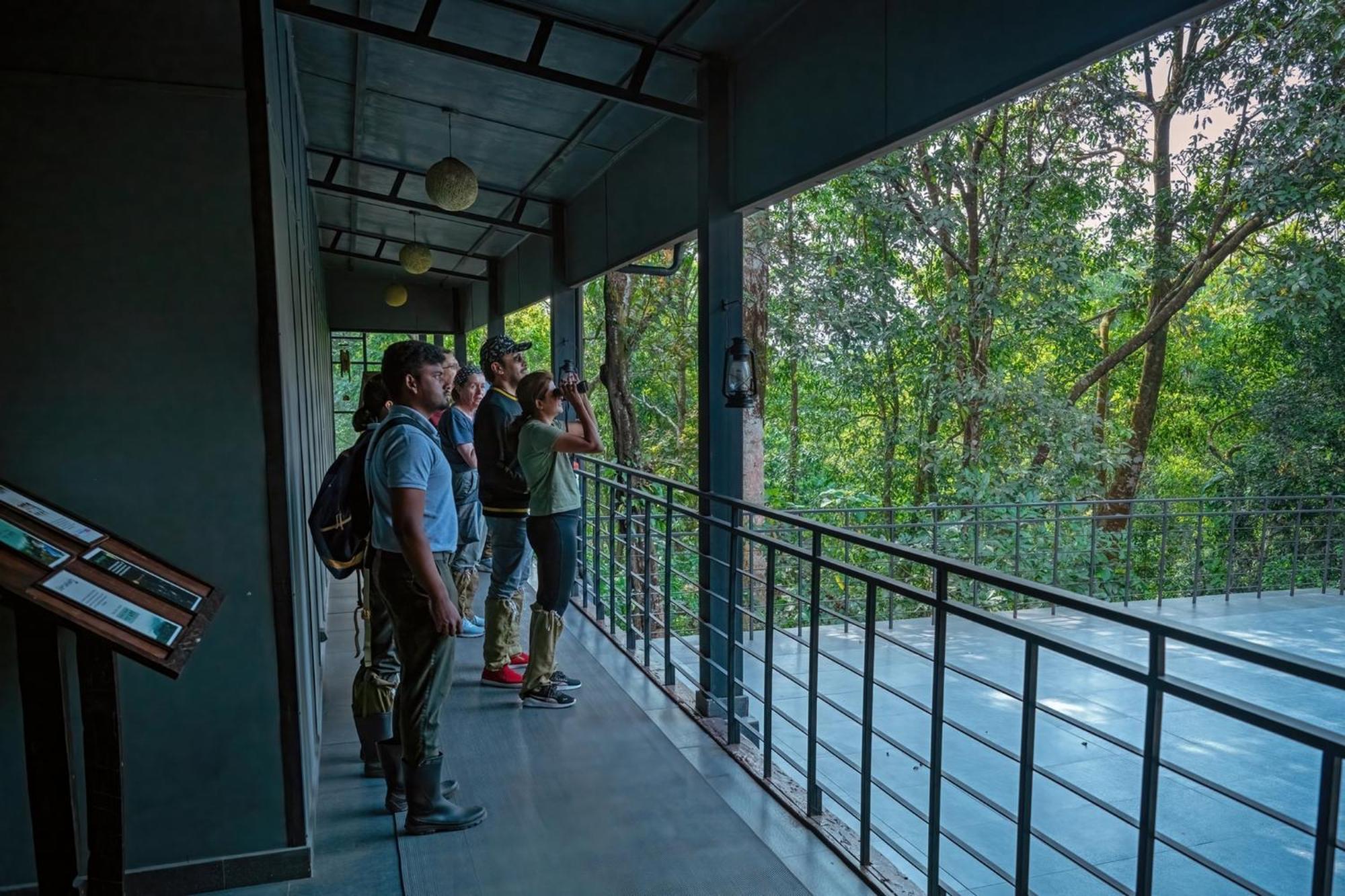 Wayanad Wild - Rainforest Lodge - A Cgh Earth Experience Vythiri Exterior photo