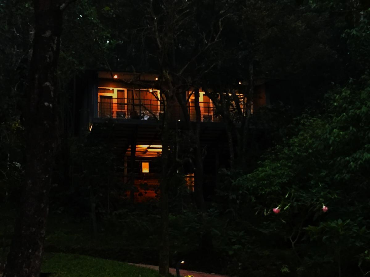 Wayanad Wild - Rainforest Lodge - A Cgh Earth Experience Vythiri Exterior photo