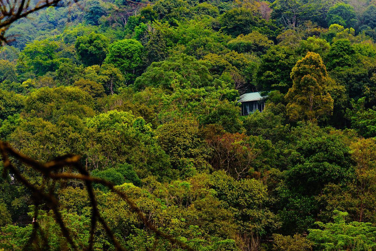 Wayanad Wild - Rainforest Lodge - A Cgh Earth Experience Vythiri Exterior photo