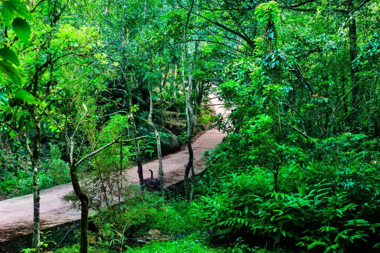 Wayanad Wild - Rainforest Lodge - A Cgh Earth Experience Vythiri Exterior photo